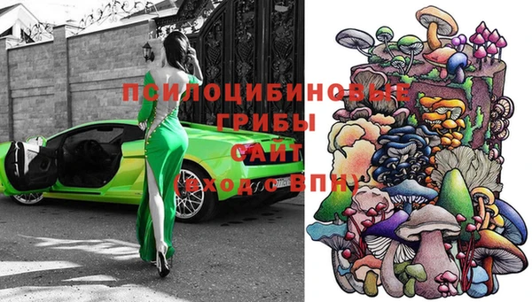гашик Алзамай