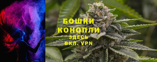 стаф Магадан