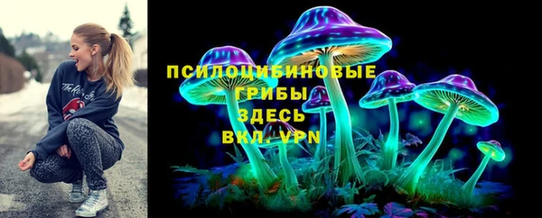твердый Магас